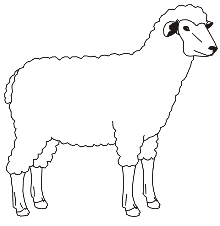 700x720 Home Sheeps Funny Sheep Cute Coloring Pages Funny Sheep Coloring