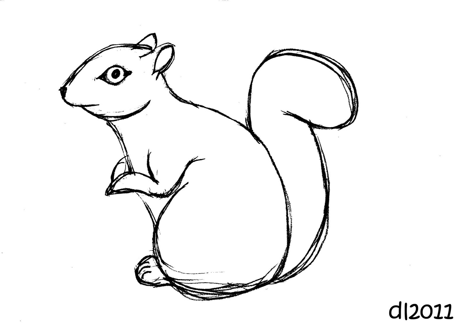 1600x1143 Squirrel Drawing Funny Squirrel
