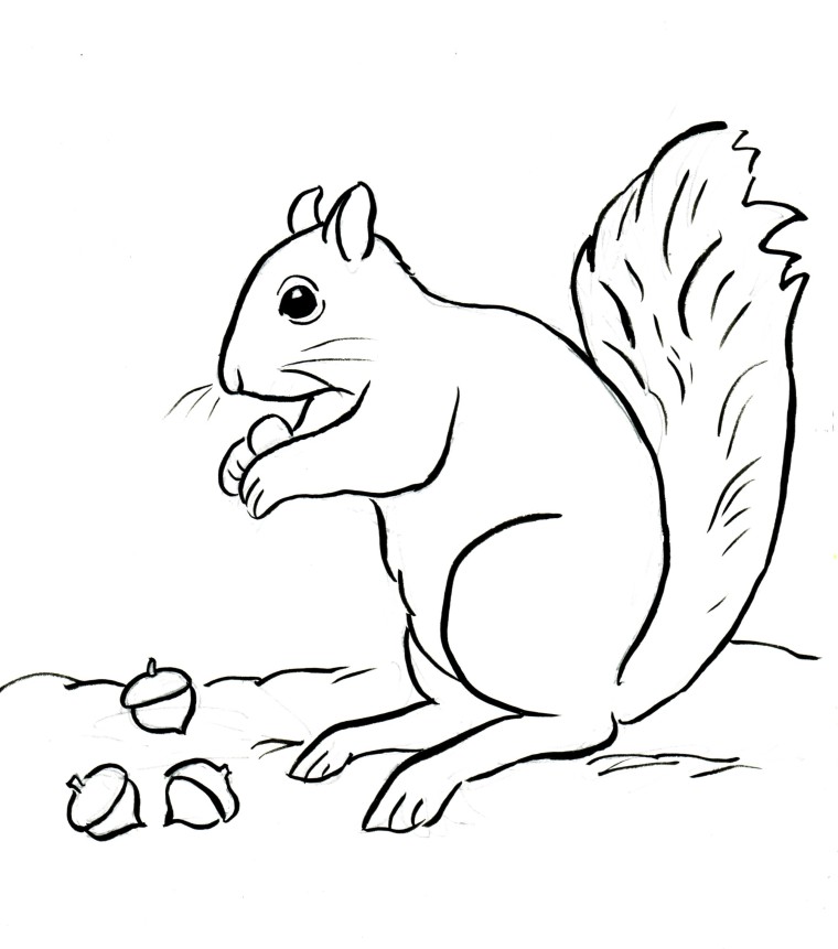 760x861 Squirrels Coloring Pages To Print