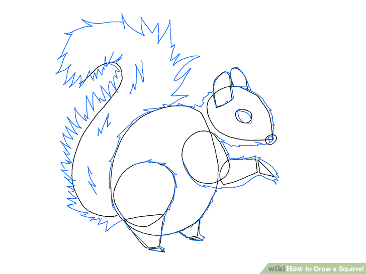 728x546 4 Easy Ways To Draw A Squirrel (With Pictures)