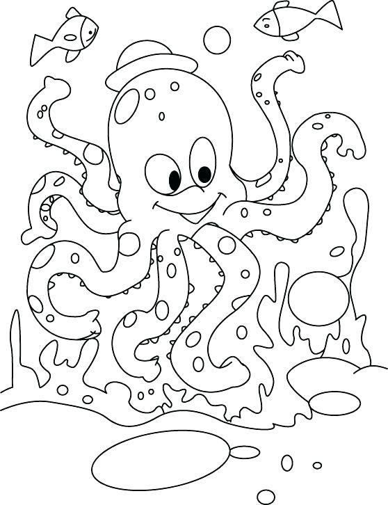558x726 Funny Coloring Pictures Octopus Funny Turkey Coloring Page
