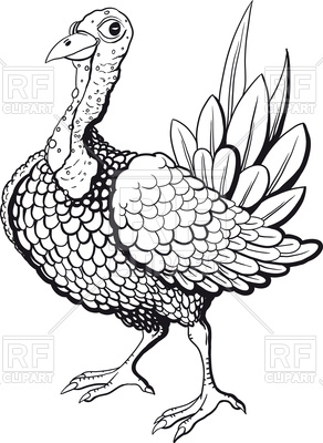 292x400 Funny Turkey In Black And White Flowers Isolated On White