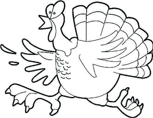 500x388 Turkey Coloring Pictures Printable Funny Coloring Pages Funny