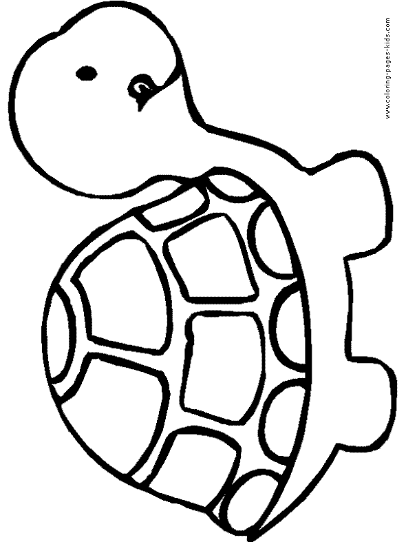 590x787 Funny Turtle Coloring Pages 2011