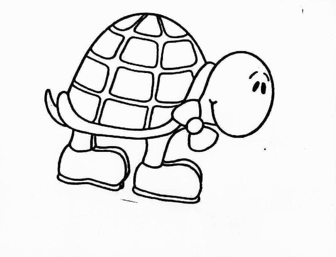 1097x841 Turtle Coloring Pages