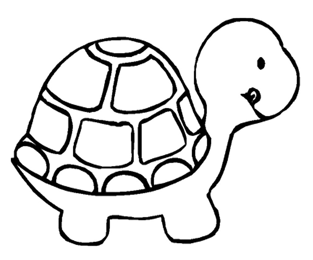 1007x838 Turtles With Funny Head Turtles Kids Net And Turtle