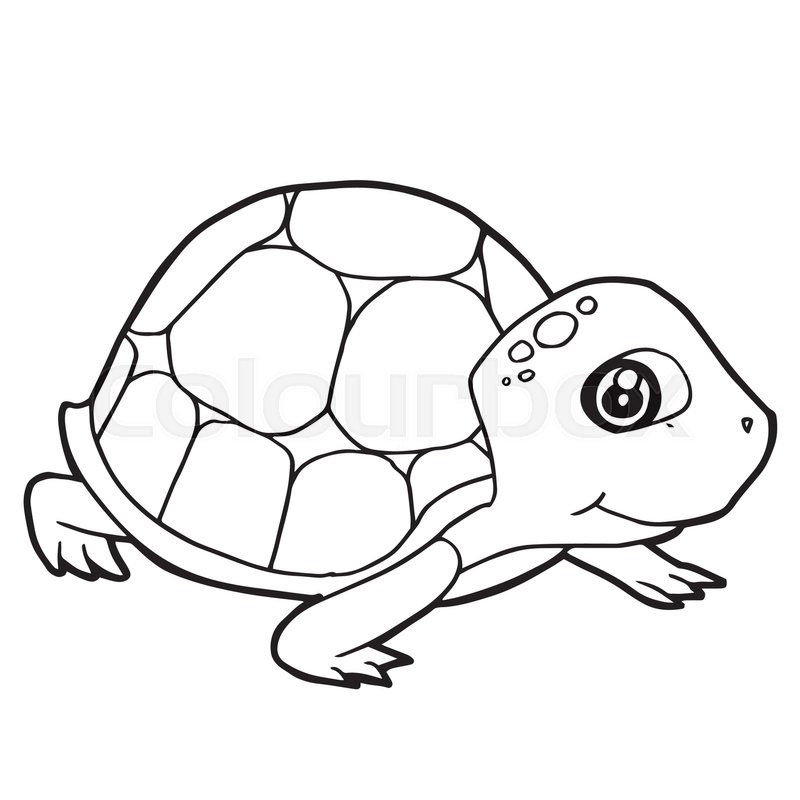 800x800 Cartoon Cute Turtle Coloring Page Vector Illustration Stock
