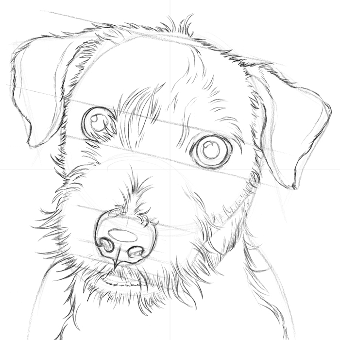 700x700 6.3.a2 Isaac The Jack Russell