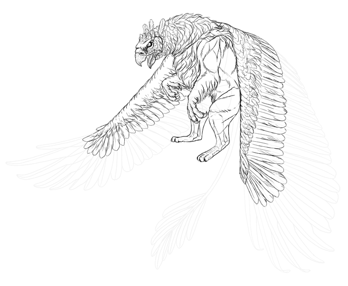 700x575 How To Draw A Griffin