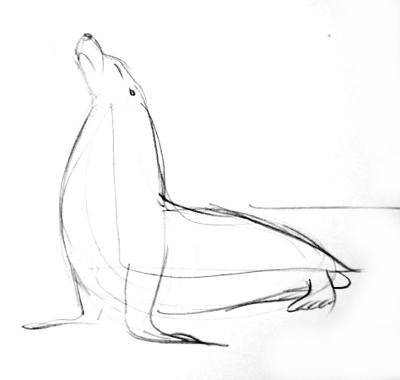 400x380 How To Draw A Sea Lion