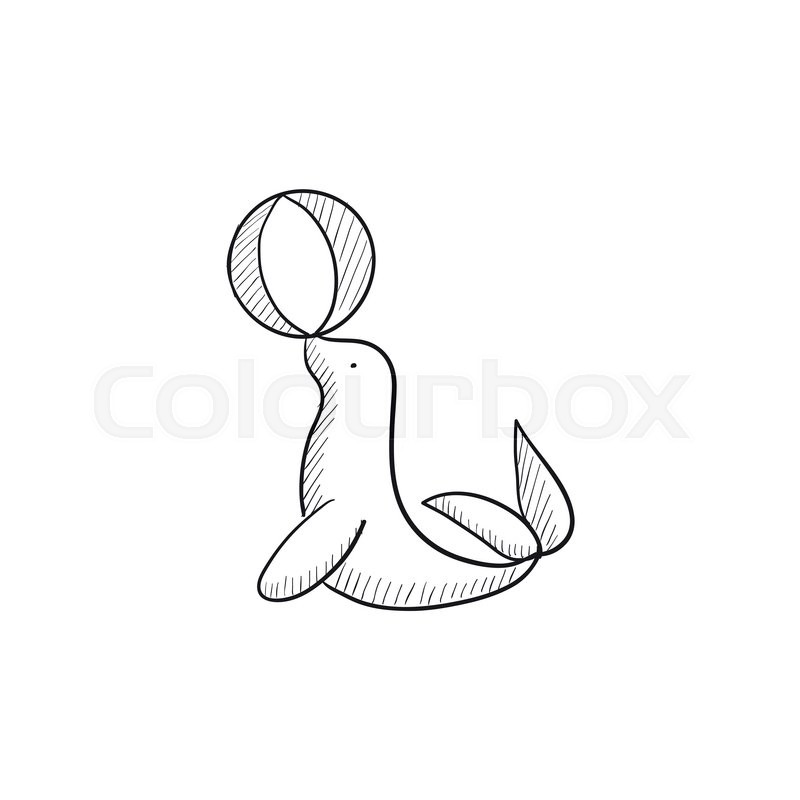 800x800 Trained Fur Seal Playing With Ball Vector Sketch Icon Isolated