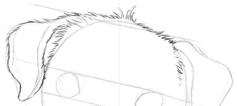 900x402 6.3.a2 Isaac The Jack Russell