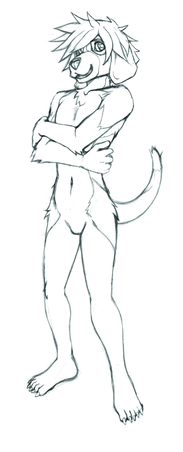 600x1481 How To Draw A Dog Furry