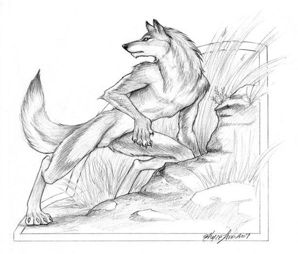 614x524 Zomg Furry By Kyleladd