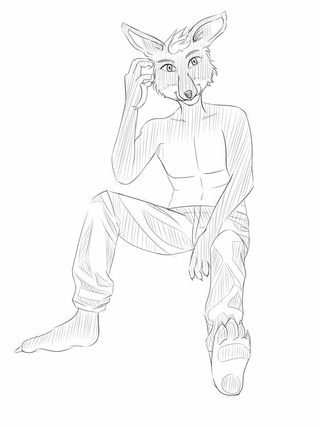 320x427 Furry Drawings On Paigeeworld. Pictures Of Furry