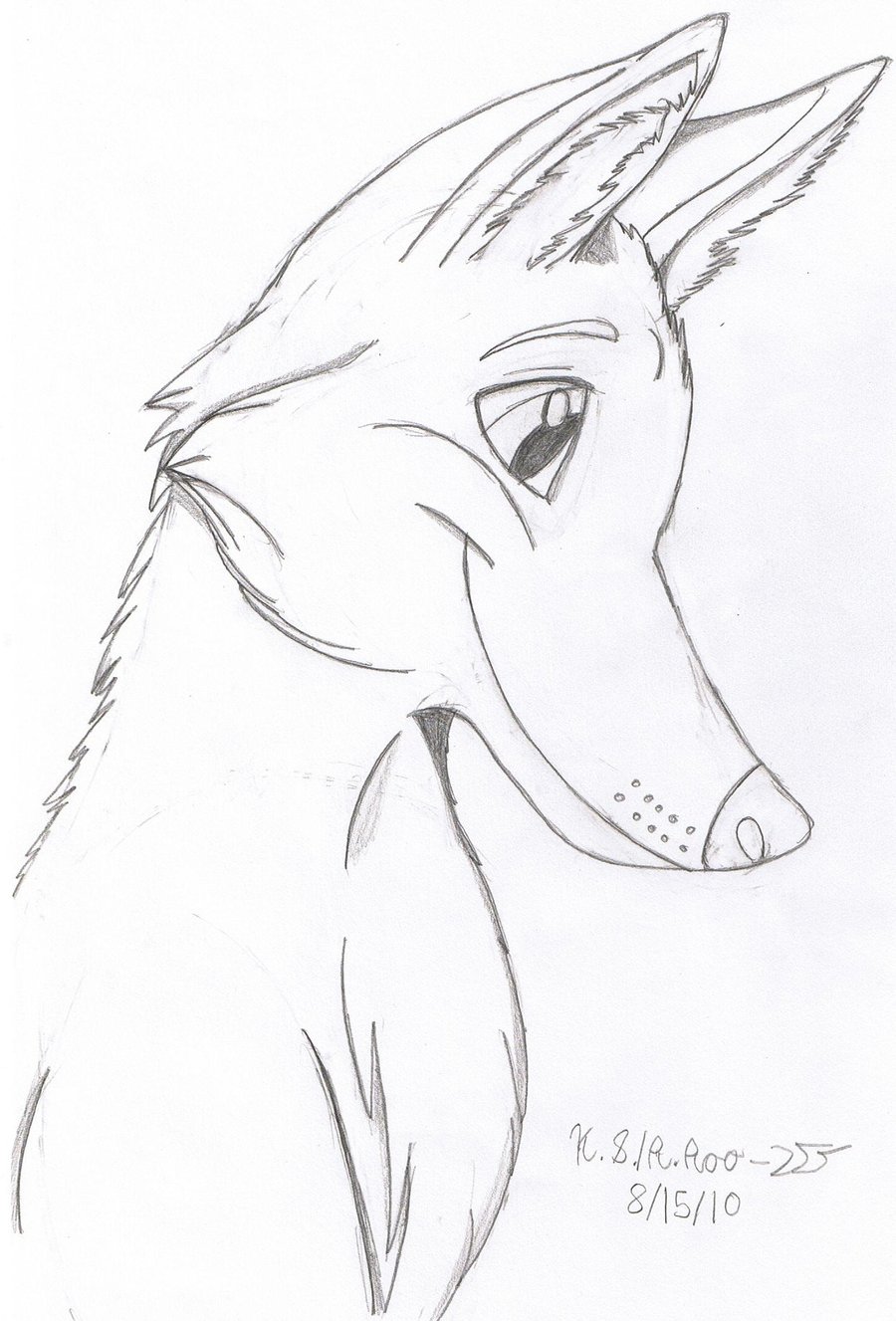 Furry Wolf Drawing at GetDrawings | Free download