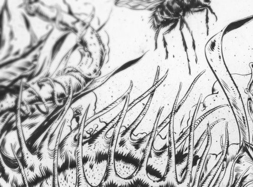 500x370 All My Pistachios