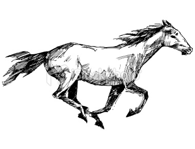 380x291 Galloping Horse Drawing