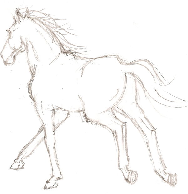 600x619 Galloping Horse Sketch By Lady Lemondrop