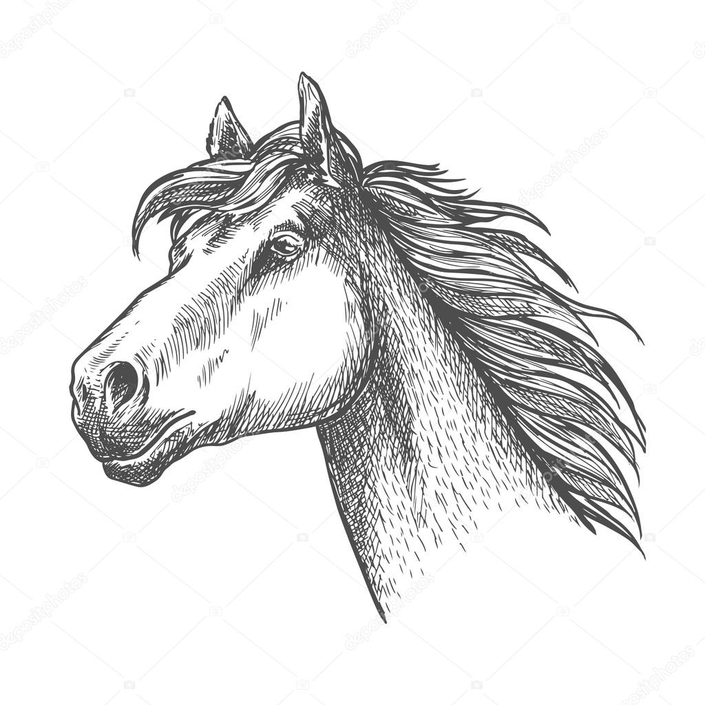 Galloping Horse Drawing at GetDrawings | Free download