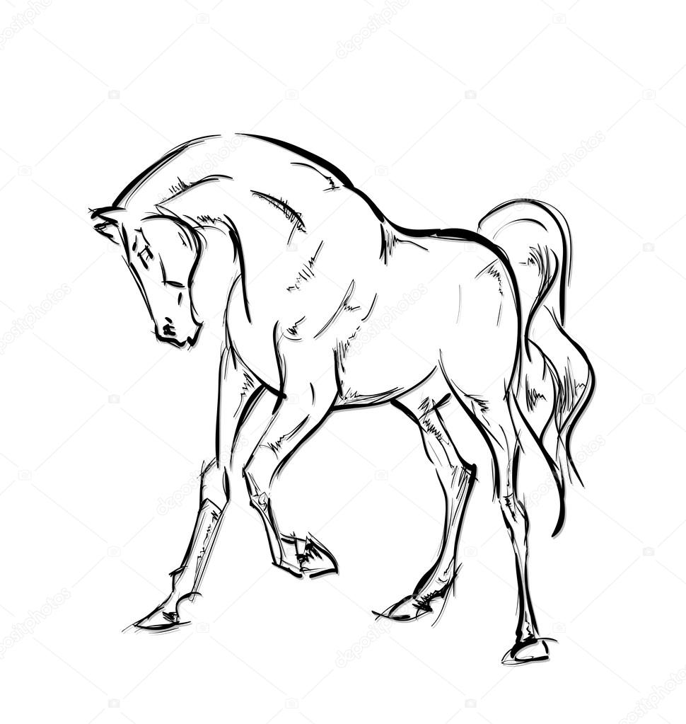 970x1023 Galloping Horses. Hand Drawn Illustration Stock Vector Ice