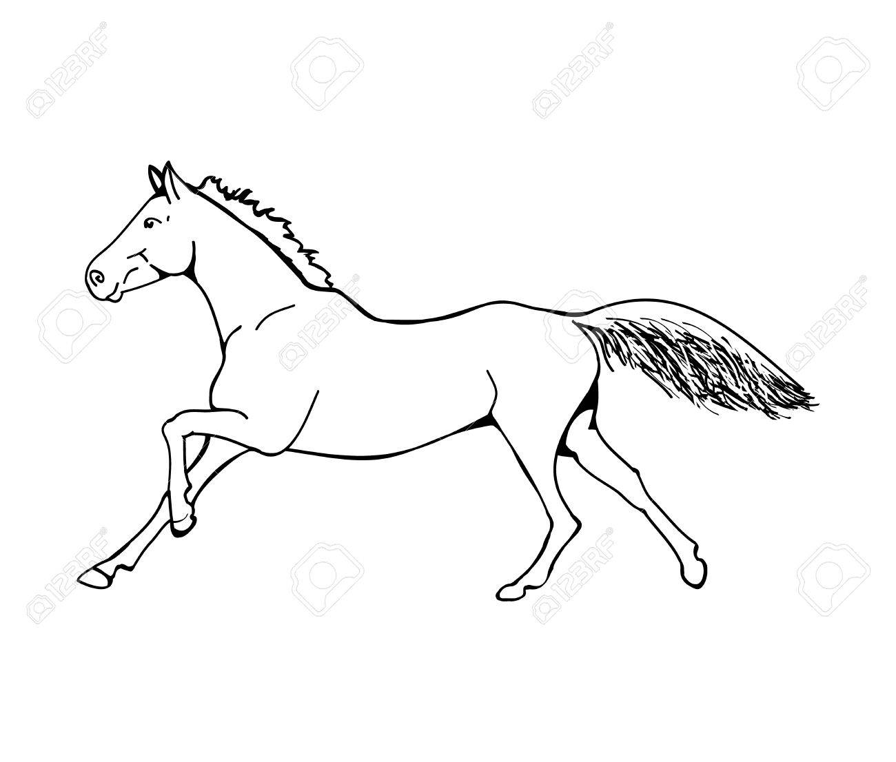 1300x1106 Graphic Image Of A Galloping Horse. The Outline Of A Horse