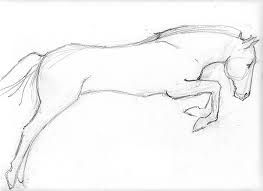 263x191 Horse Drawings, Drawings And Horses