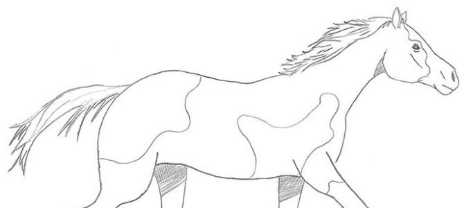 670x300 Matthew Page 3 Your Drawing Lessons