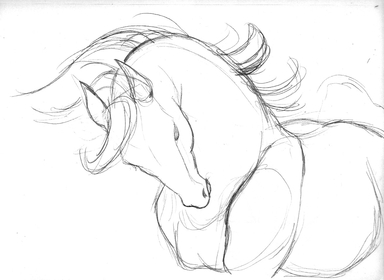 1311x956 Easy horse drawings Viewing Blog Posts Tagged With Sketchbook