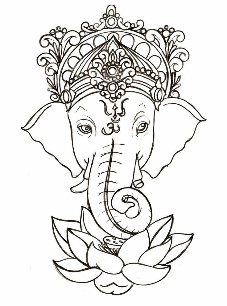 736x992 Drawn Asian Elephant Ganesh