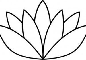 300x210 Simple Lotus Flower Drawing Ideas About Lotus Drawing