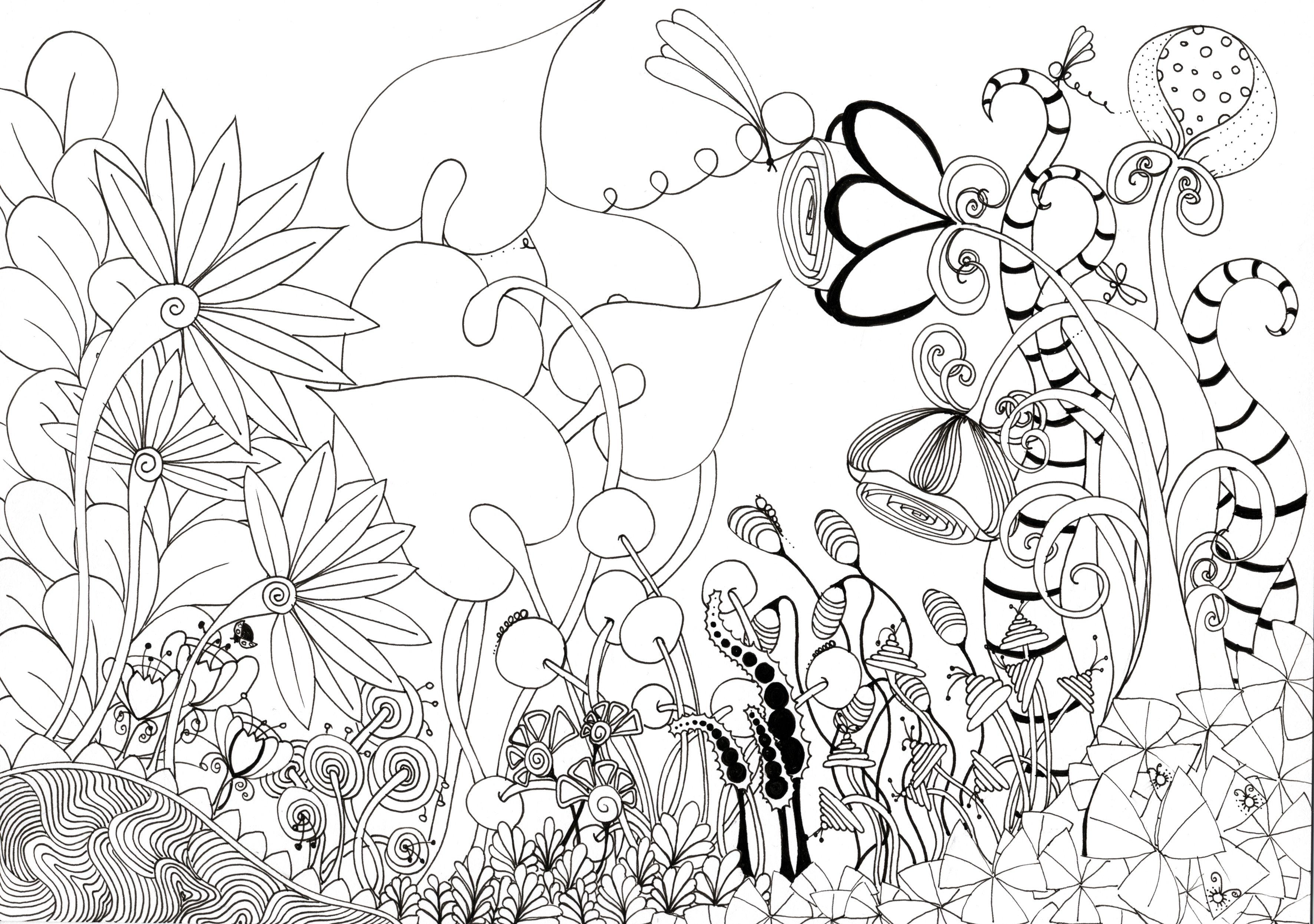 3543x2491 Splendid Gallery Garden Flowers Photos In Pencil Drawing