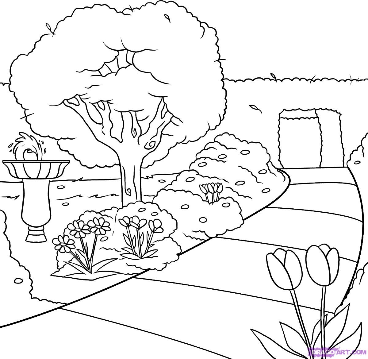 1200x1170 How To Draw A Garden Step 6 Drawing Outline Images