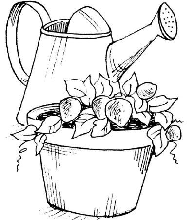 400x451 Easy Outdoor Gardening Activities For Kids Activities, Easy