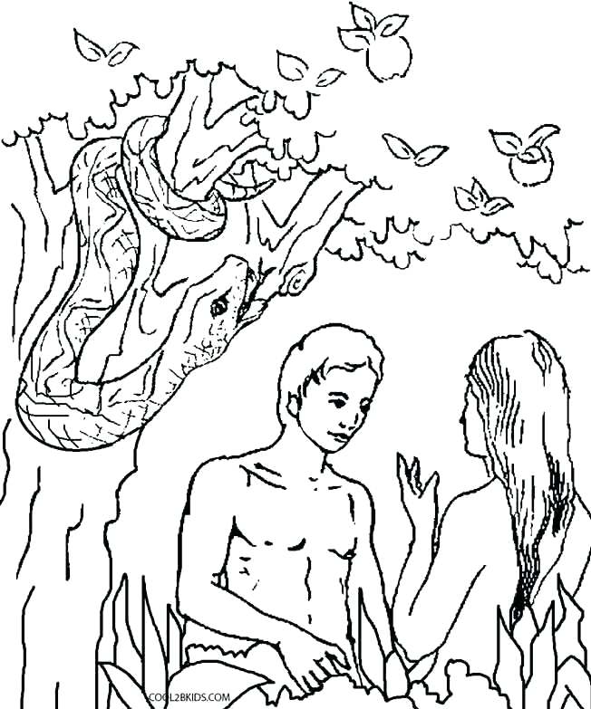 652x783 Classy Adam And Eve Coloring Page New Printable Pages For Kids