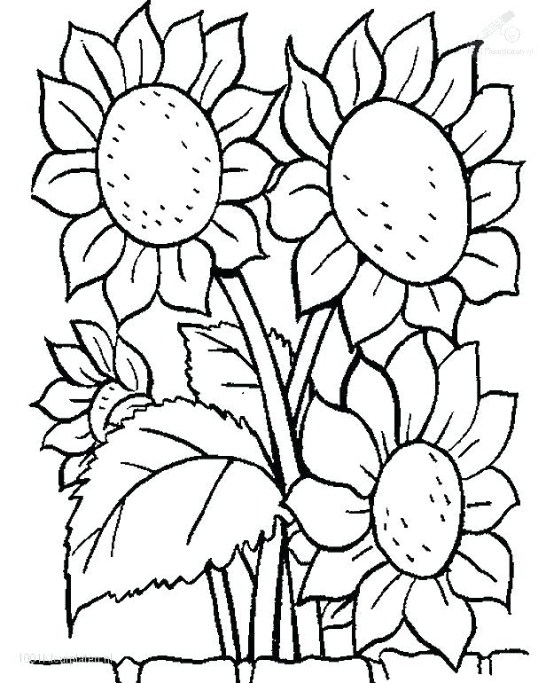 616x770 Flowers Coloring Pages Garden Flowers Coloring Pages 5 Interesting