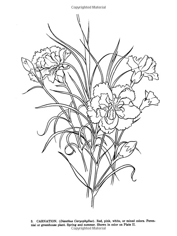 600x800 Garden Flowers Coloring Book (Dover Nature Coloring Book) Stefen