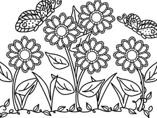 320x240 Garden Flowers Coloring Pages Butterfly With Flower In The Garden