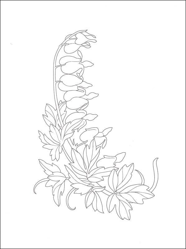 598x800 How To Draw Garden Flowers (Creative Haven How To Draw) (028593