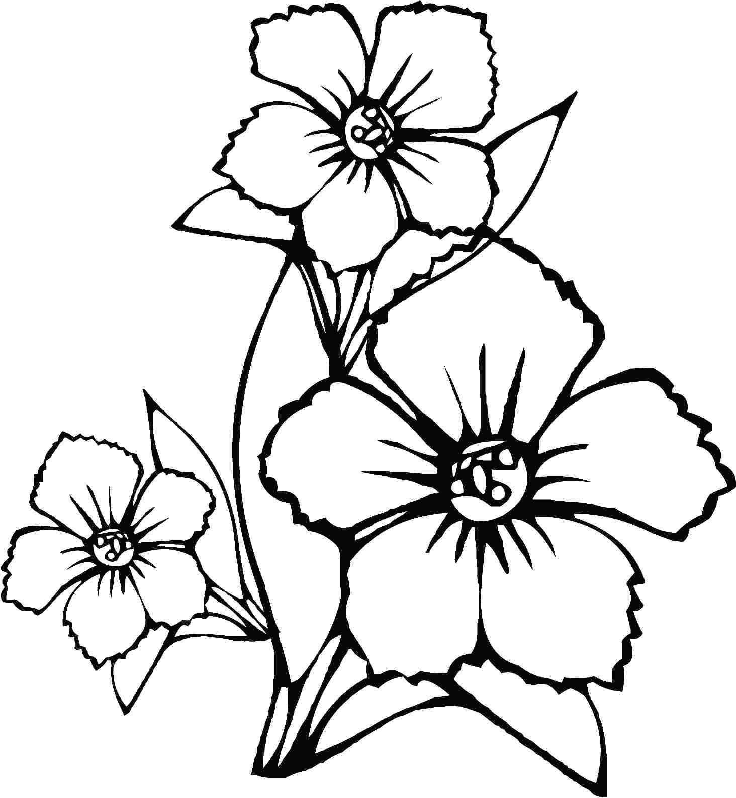1464x1588 Coloring Garden Flowers Coloring Pages Clip Arts Related