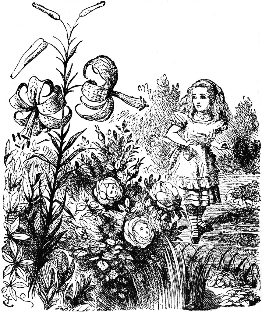 860x1024 Alice In The Garden Of Live Flowers Bugs In The News