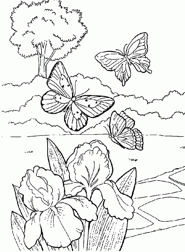 651x885 Beautiful Garden Coloring Page Printable In Pretty Draw Pages 30
