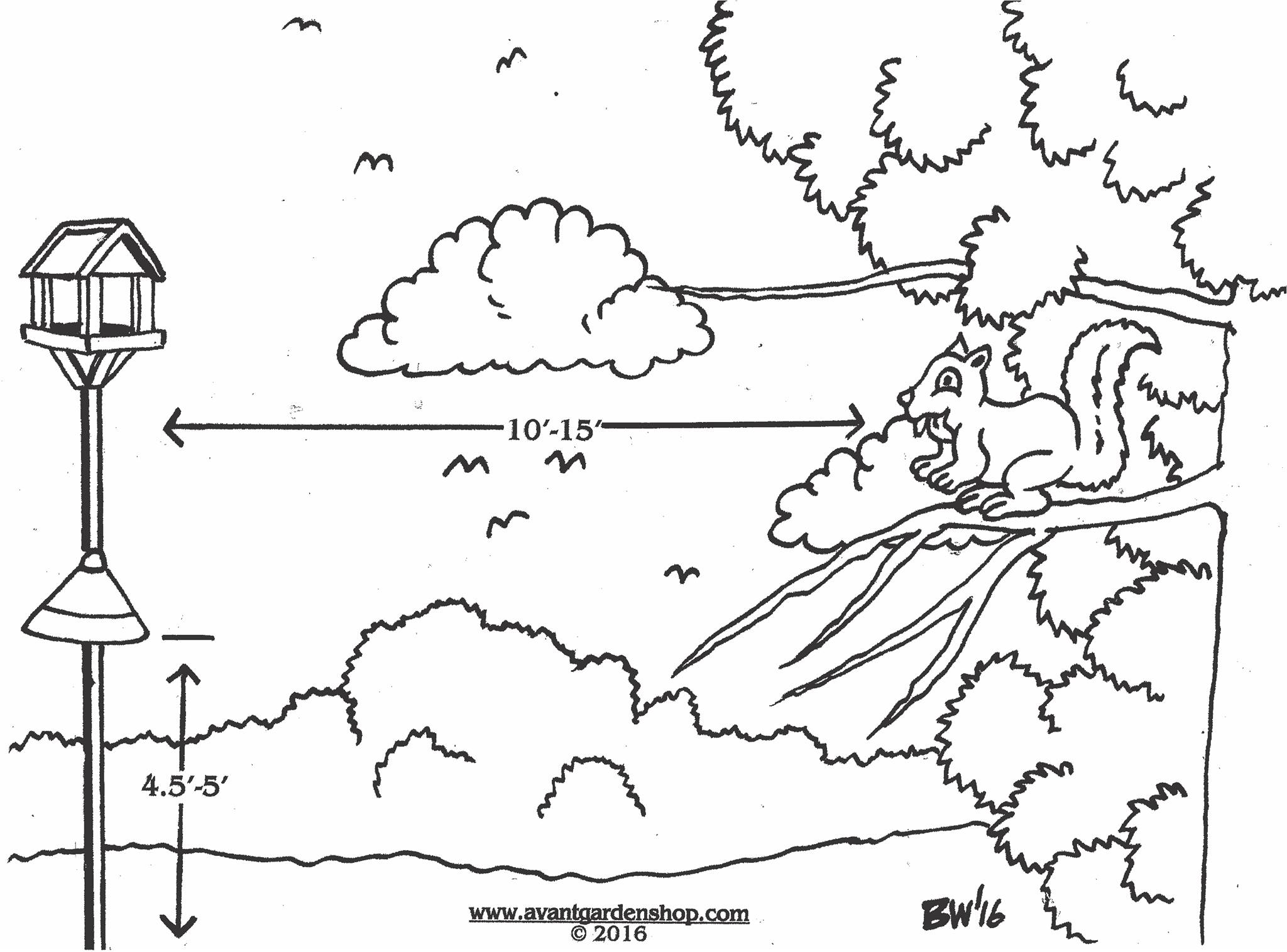 2048x1516 Garden Gate Episode 118 Setting Up A Bird Feeding Station (June
