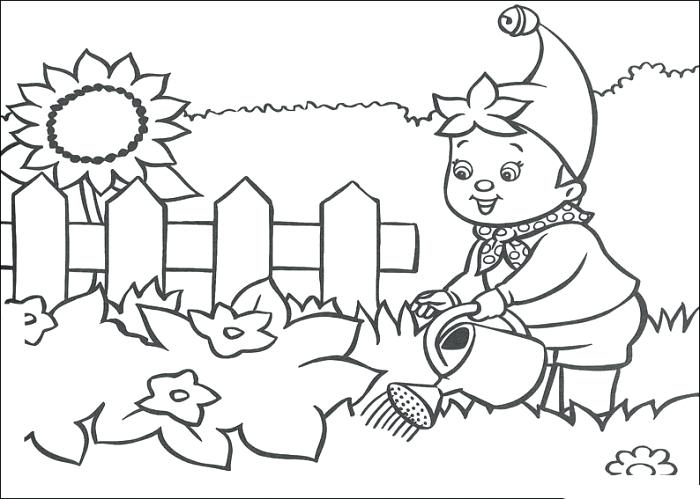 700x499 Garden Coloring Pages Pictures Garden Coloring Pages For Line