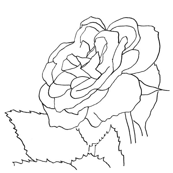 600x600 Garden Design Element Line Our Garden Plan