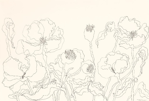 600x406 Garden Lines