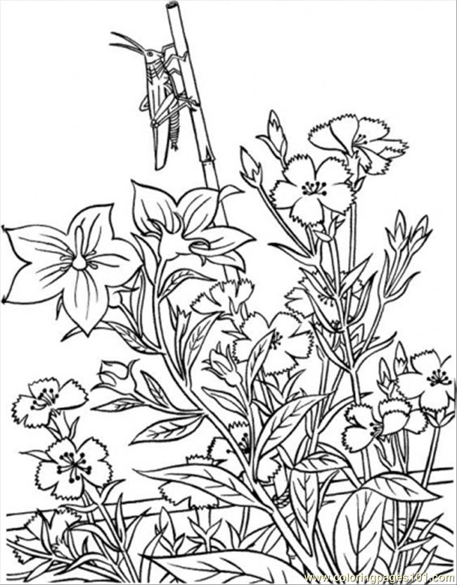 650x832 Opper In Garden Coloring Page Coloring Page