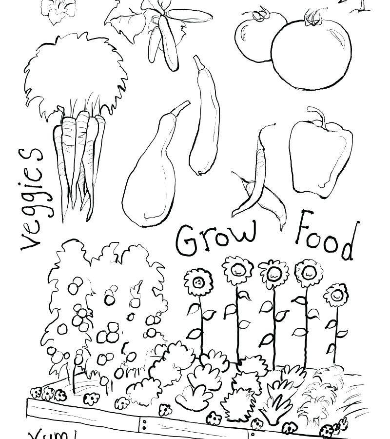 800x900 Gardening Tools Drawing Saleros.club