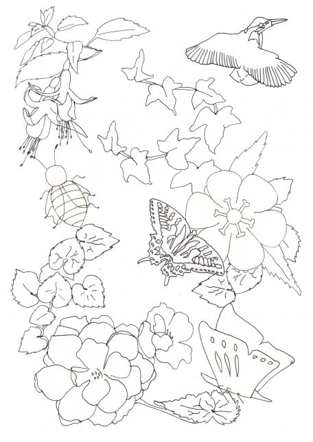 456x645 Line Drawing Composition