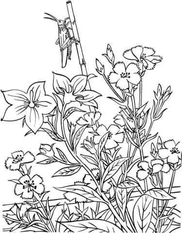 375x480 Garden Coloring Pages Printable Gardening Colouring Page Only